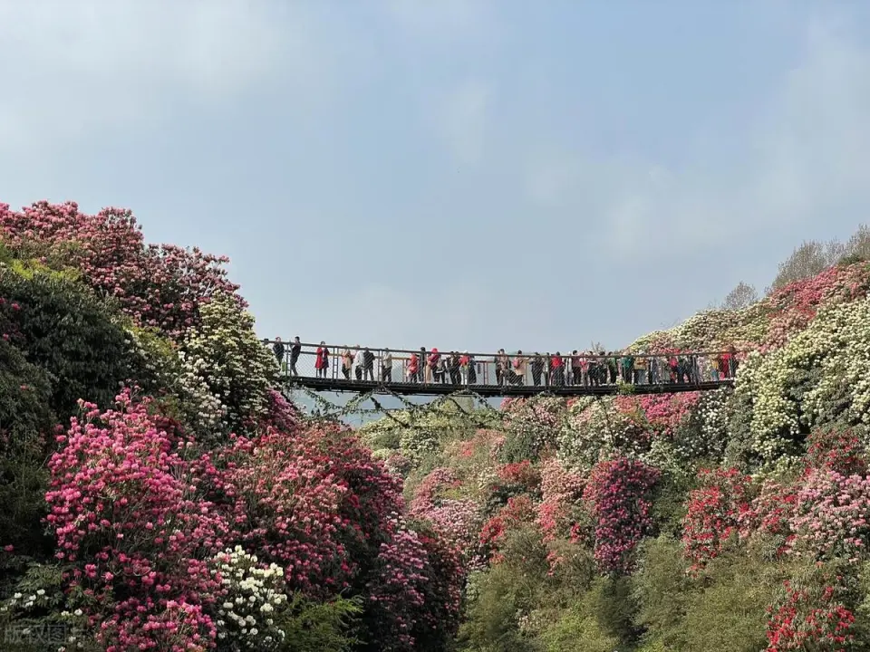 贵州旅游必去的15个景区，去过一半已经此生无憾，你去过了几个