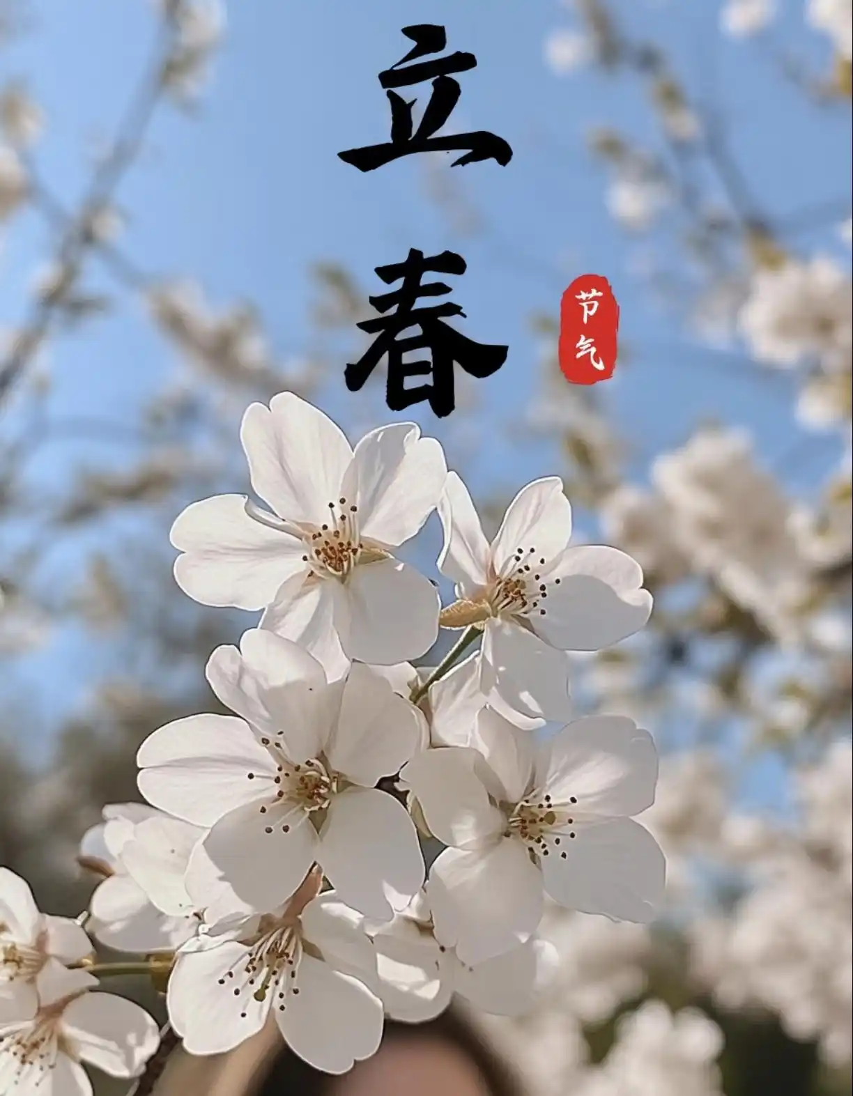 “立春除夕前,春打六九头”,2026年立春不一般,有啥说法?