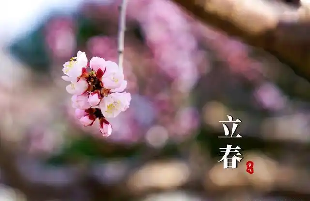 春来了吗？2026年2月4日04时01分51秒立春