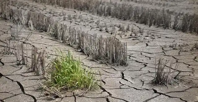 春来了吗？2026年2月4日04时01分51秒立春