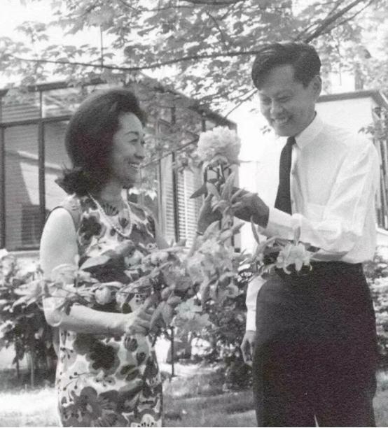 杨振宁父亲拜托胡适为儿子找对象,胡适笑了:他用不着我帮忙