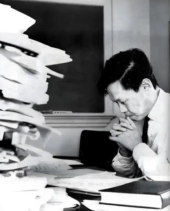 杨振宁父亲拜托胡适为儿子找对象,胡适笑了:他用不着我帮忙