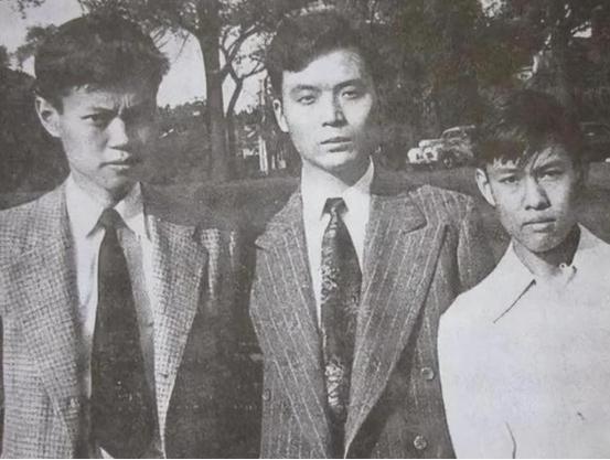 杨振宁父亲拜托胡适为儿子找对象,胡适笑了:他用不着我帮忙