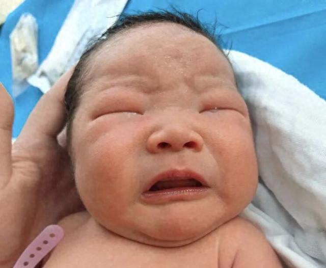 婴儿这些表现,大概率智力很高,尤其是最后2个