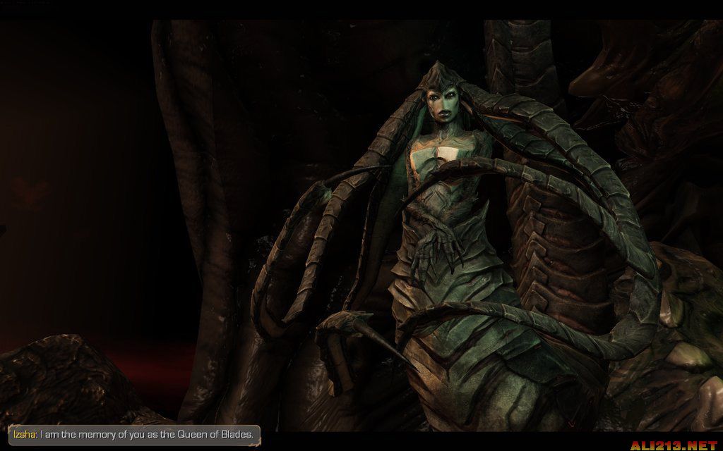 《星际争霸2:虫群之心》PC正式版下载发布