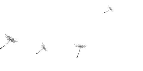 【送票】光影视听｜电影《变形金刚6：超能勇士崛起》• 这些彩蛋你发现了吗？