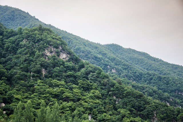 做人，要有底线和格局，别只会装温柔，有的底气才是真的厉害