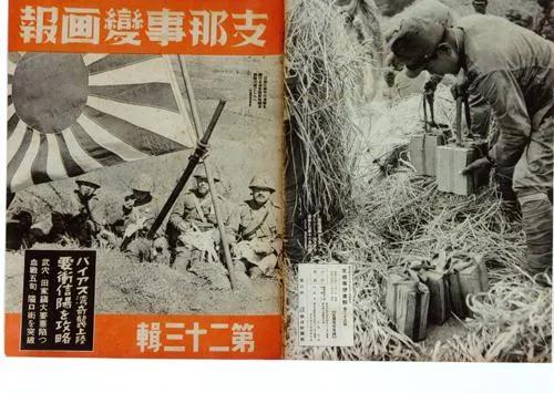 湖北省阳新县的革命历史