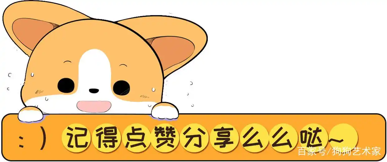 如何养好一只贵宾犬?这6点很关键,不妨看看