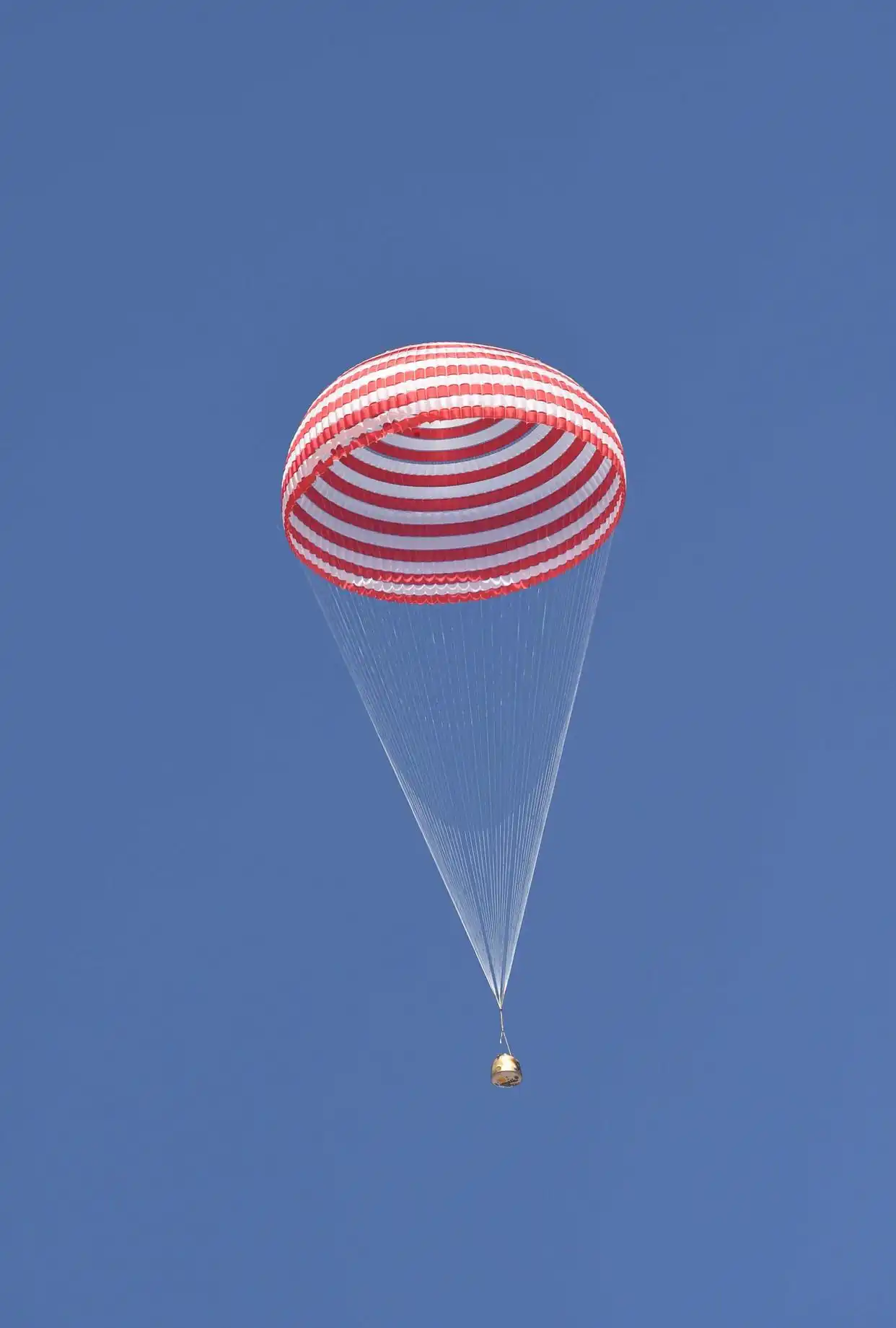 酸！国外网友集体嘲讽神舟12号，大呼：那是在摄影棚里拍的