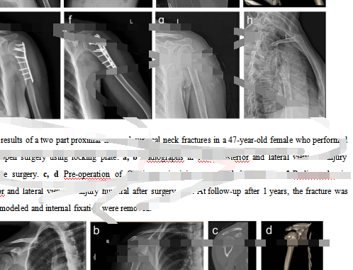 价格几千元至数万元不等，代写代发“一条龙”——揭秘地下“论文工厂”