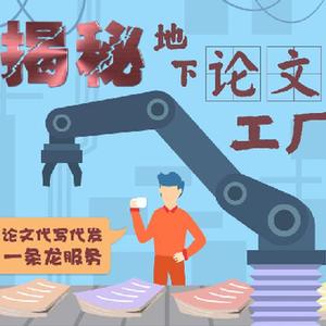 价格几千元至数万元不等，代写代发“一条龙”——揭秘地下“论文工厂”