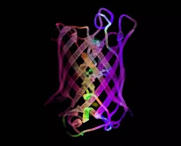 科学人物 | Nature：钱永健，一个照亮生物学的男人