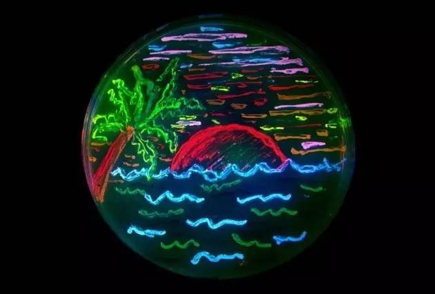 科学人物 | Nature：钱永健，一个照亮生物学的男人