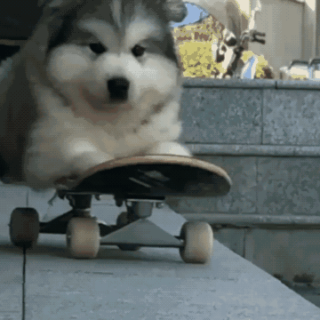 新手入门滑板需要知道的那些事（从买板到上街）