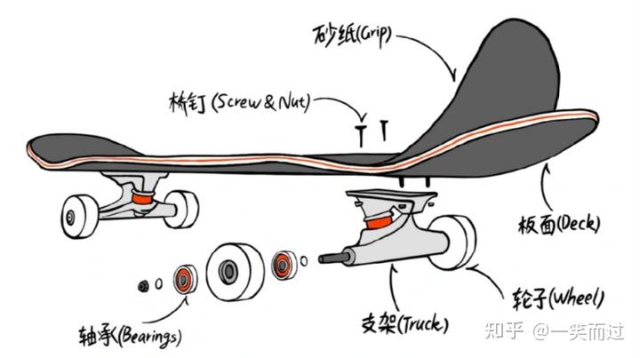 长板/鱼板/双翘板/陆冲板怎么选？