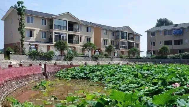 好消息!犍为绕城公路全线贯通!未来发展要上天了!