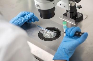 二、生物学的产生和发展