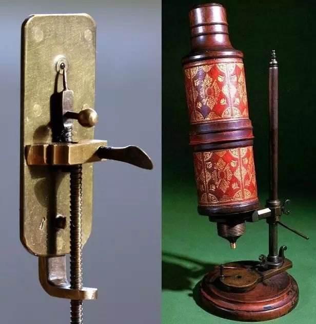 二、生物学的产生和发展