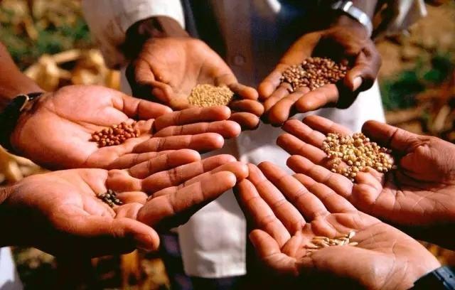 二、生物学的产生和发展