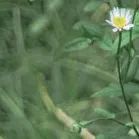 【重阳节特辑】用心用情做好老干部工作,让夕阳照样红