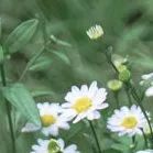 【重阳节特辑】用心用情做好老干部工作,让夕阳照样红