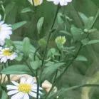 【重阳节特辑】用心用情做好老干部工作,让夕阳照样红