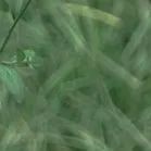 【重阳节特辑】用心用情做好老干部工作,让夕阳照样红