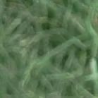 【重阳节特辑】用心用情做好老干部工作,让夕阳照样红