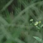 【重阳节特辑】用心用情做好老干部工作,让夕阳照样红