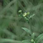 【重阳节特辑】用心用情做好老干部工作,让夕阳照样红