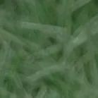 【重阳节特辑】用心用情做好老干部工作,让夕阳照样红