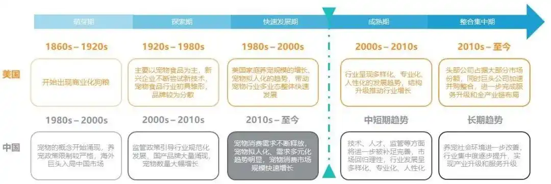 1亿猫猫狗狗的“洗剪吹”生意