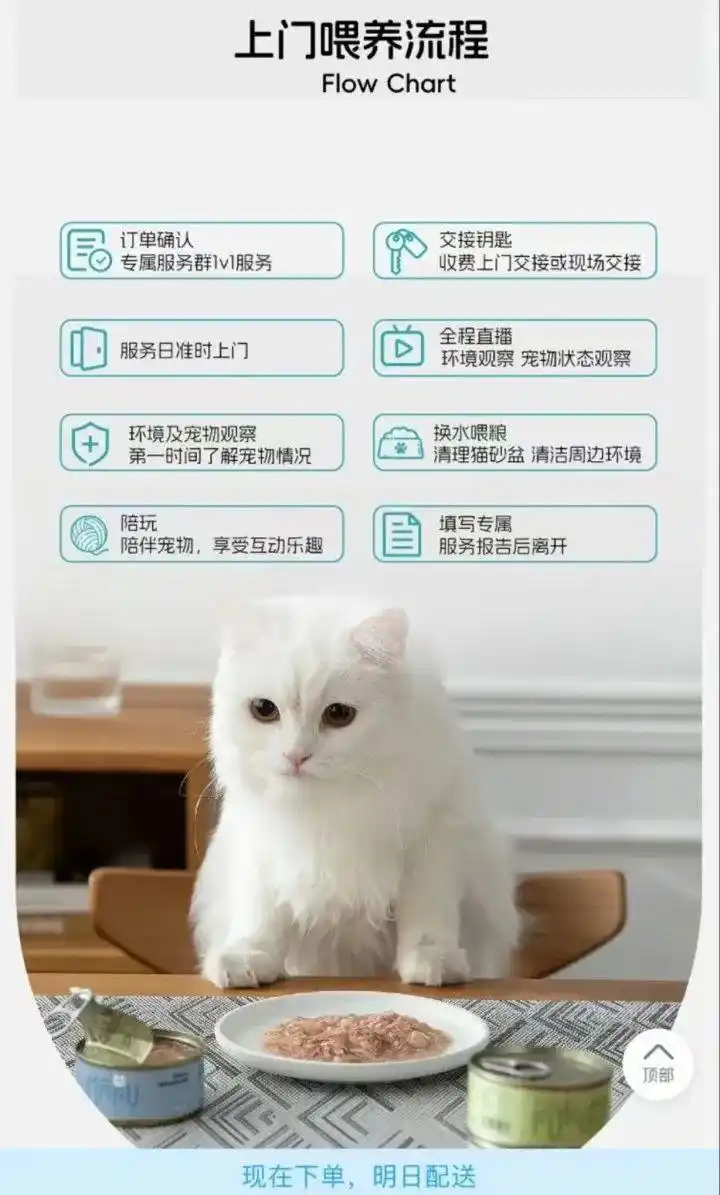 宠物上门喂养，98元一次，你会买单吗？