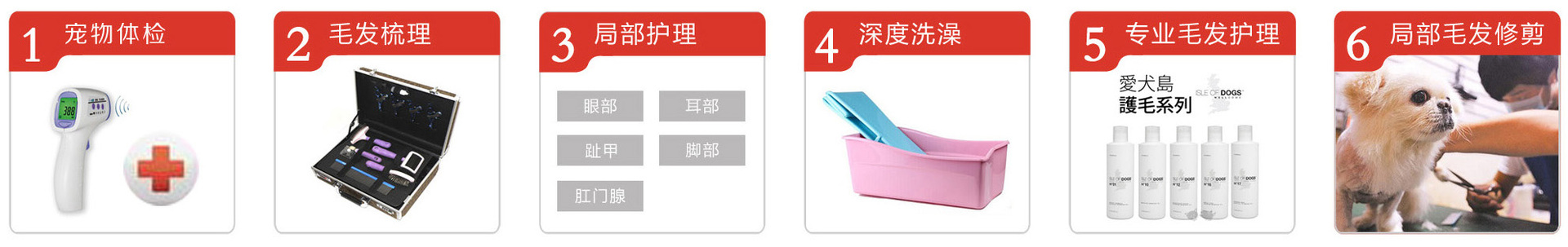 摸摸哒，宠物O2O服务从上门给汪星人洗澡开始