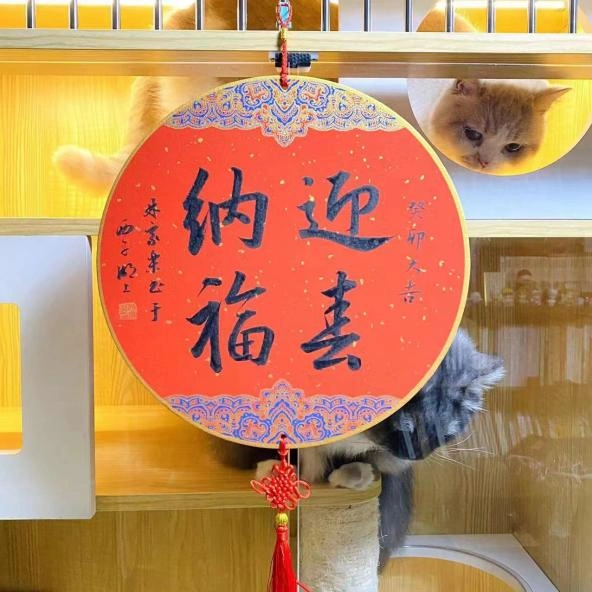 春节回家，“毛孩子”谁来管？宠物寄养、上门喂养、铲屎黑科技火爆