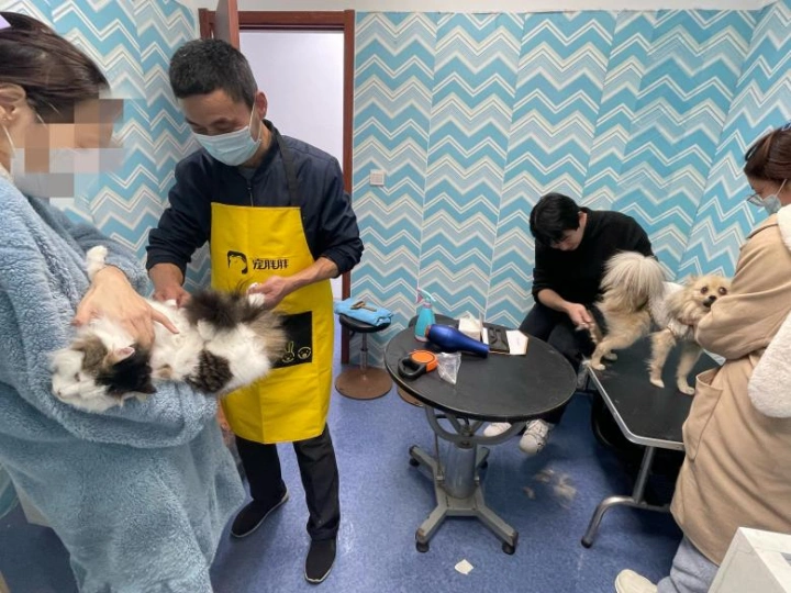 春节回家，“毛孩子”谁来管？宠物寄养、上门喂养、铲屎黑科技火爆