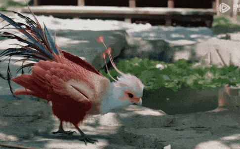 给近三年最火的10部国产剧排个名:《繁花》仅第8,第1名没有争议