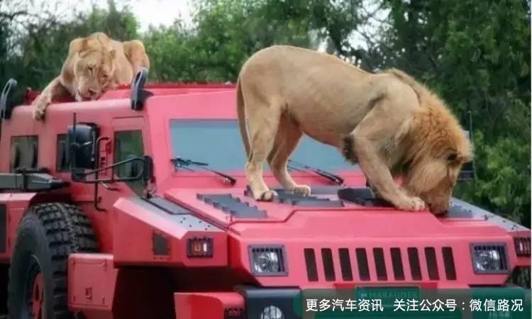 全球五大怪兽级越野车排名 马路坦克