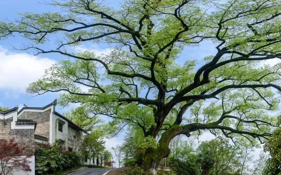 湖南最美中学的前身竟是这座古代书院？