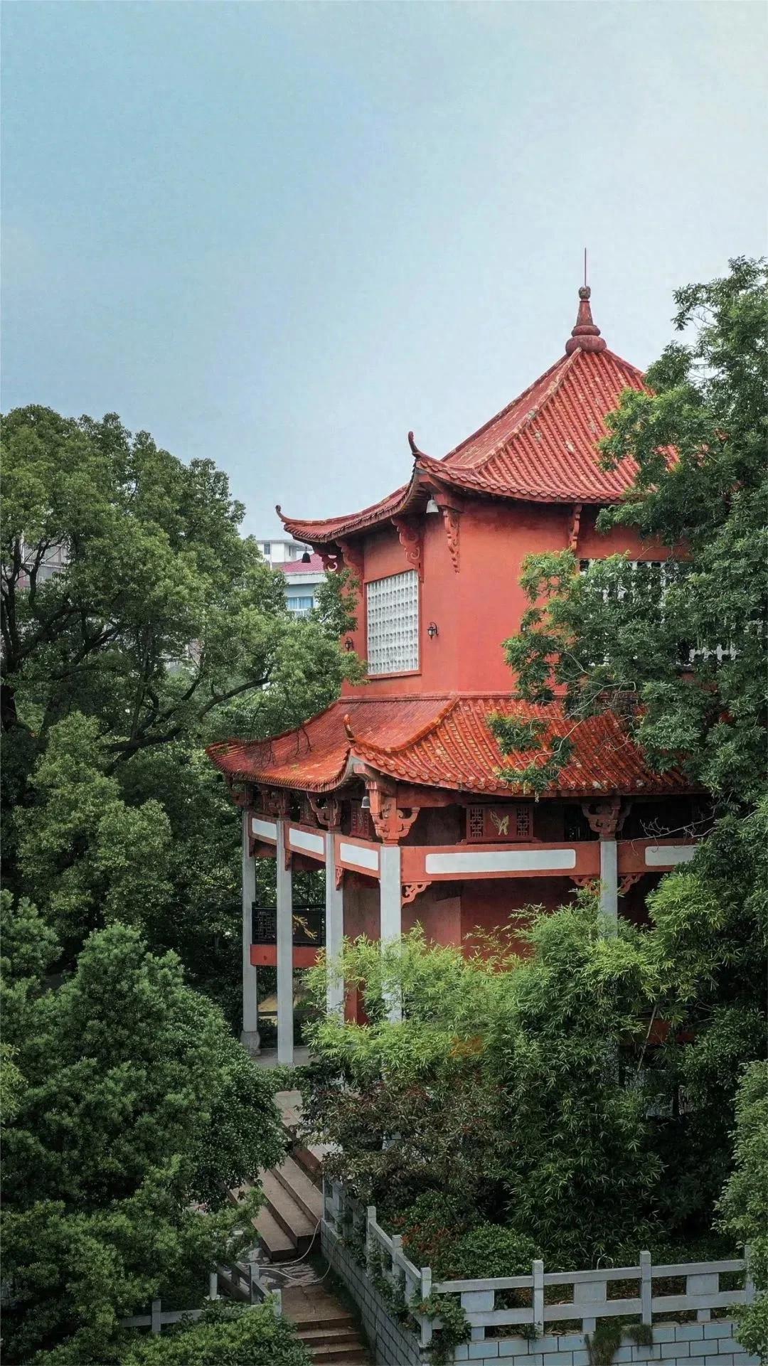 317人闯黄埔，更为湖南和平起义破局，醴陵一中太硬核！