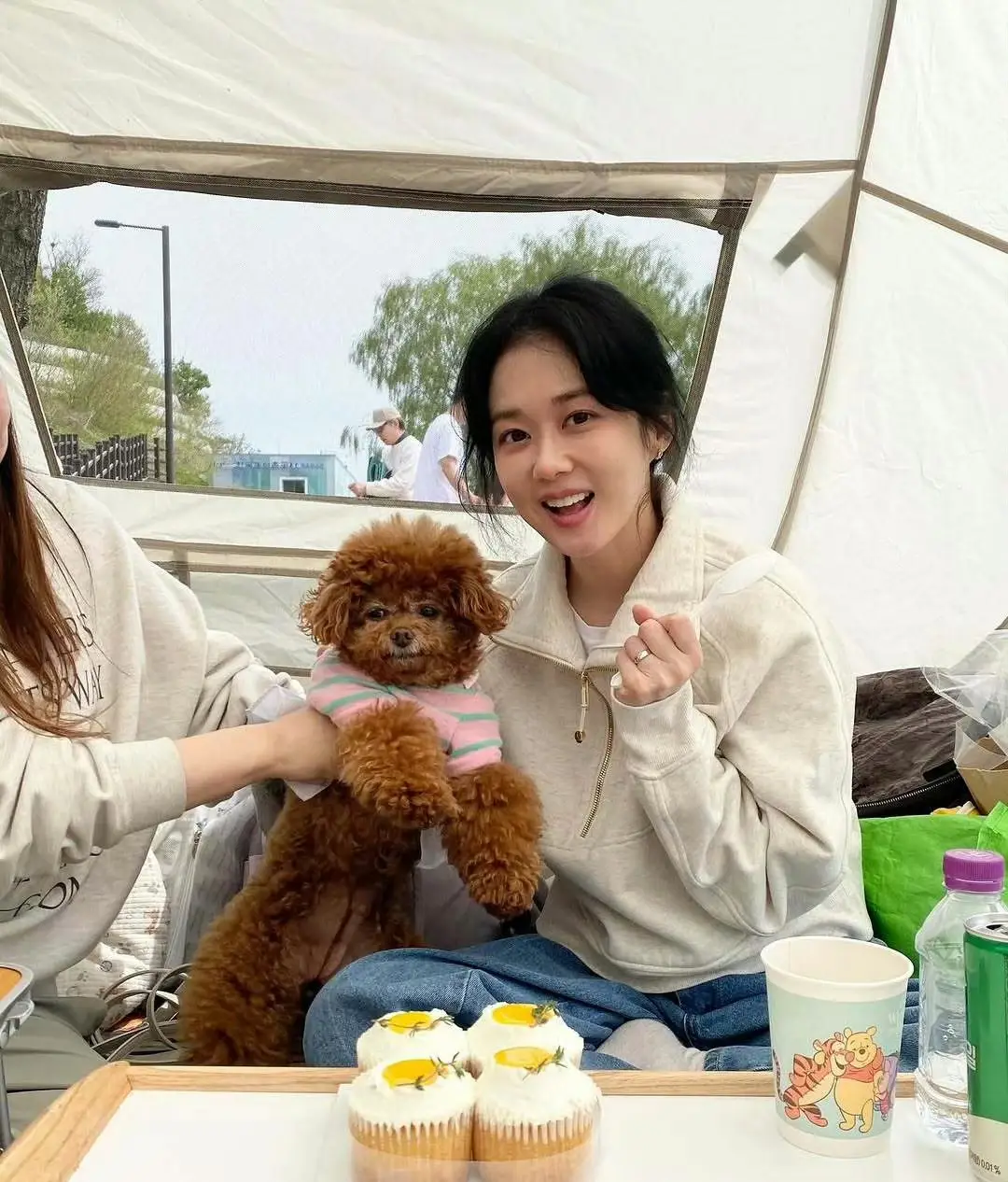 遭遇抵制的韩国艺人,圈钱,立场问题,言论争议…没一个无辜的