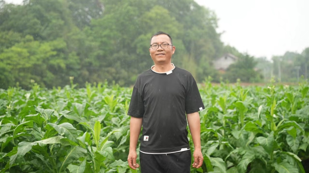 深读丨金叶写大爱 逆路亦繁花——湖南省烟草商业系统扶残助残纪实