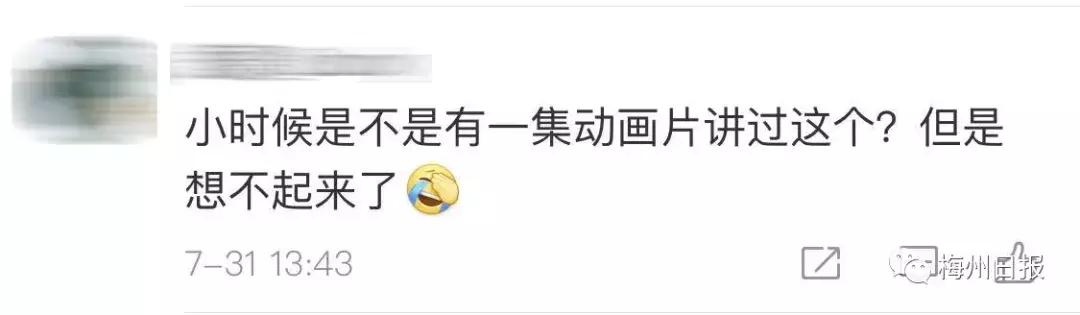 为了抓拍"发梢飘起",情侣爬上铁轨,瞬间被火车掀翻