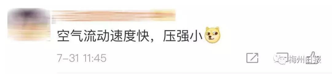 为了抓拍"发梢飘起",情侣爬上铁轨,瞬间被火车掀翻