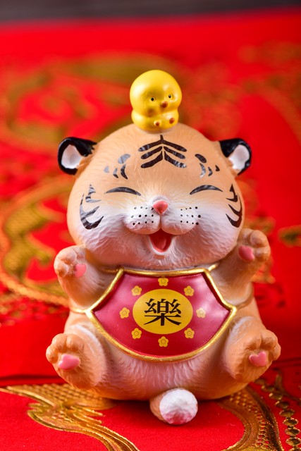 财运要来到你头上了,侬晓得哇?