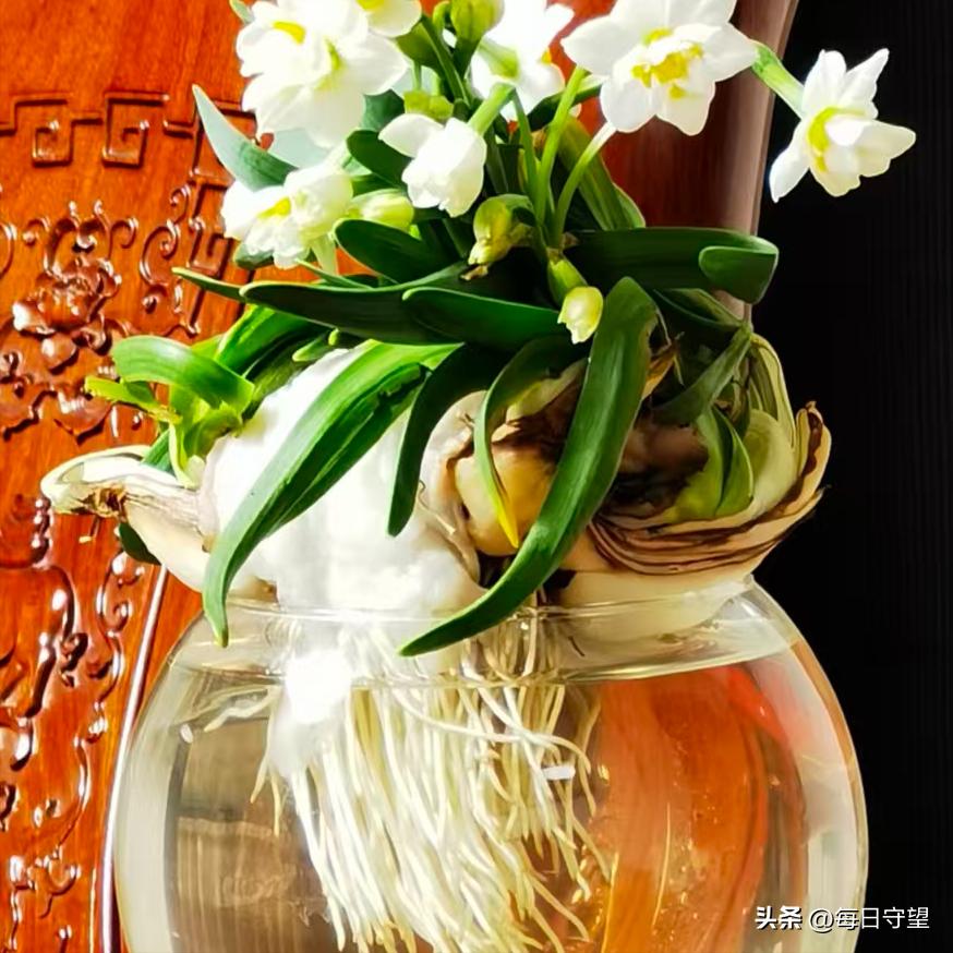 所有烦恼随2025远去，2026拥抱一切美好