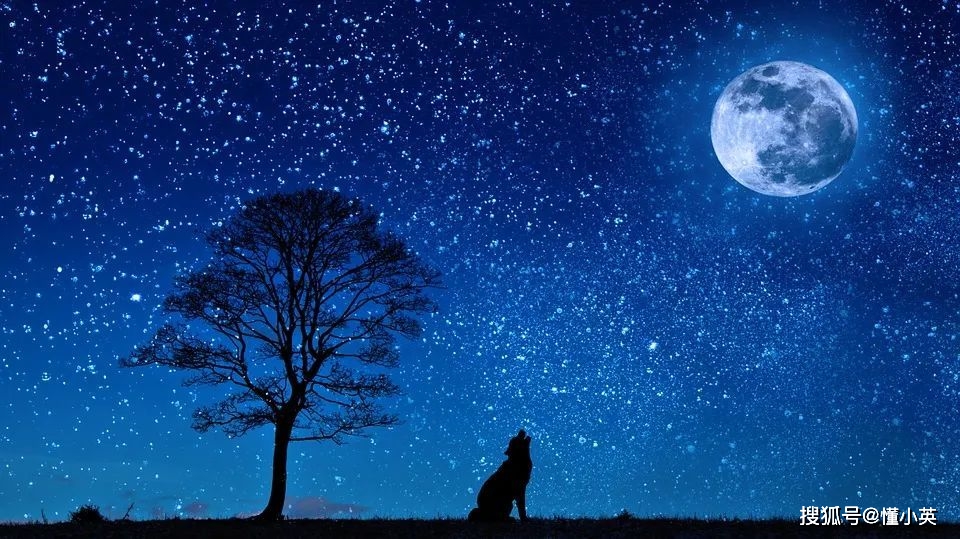 雅思全新推出视频通话口语考试服务，考生该如何高效备考？