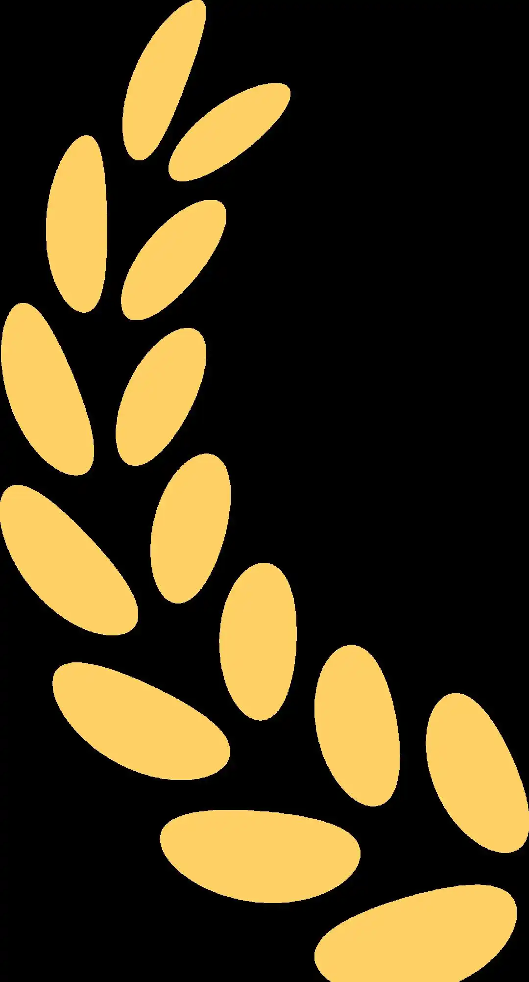 青春的精彩瞬间：校运会背后的拼搏故事