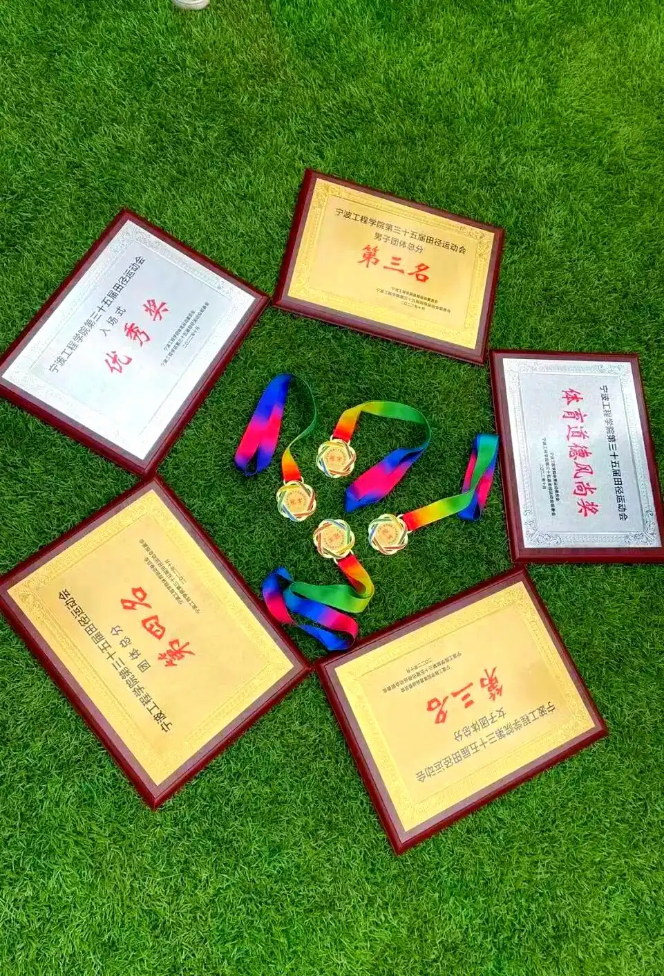 青春的精彩瞬间：校运会背后的拼搏故事